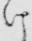 字け