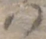 𛂞の位置