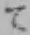 文字て
