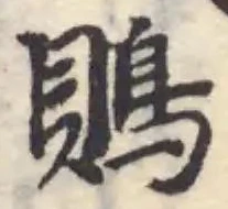 Đã định vị 鵙