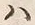 文字海