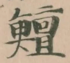 Đã định vị 鱣