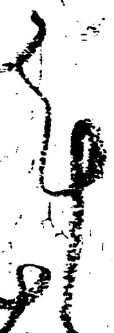 Đã định vị 謹