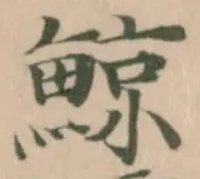 Located 鯨