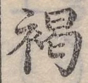 已定位褐