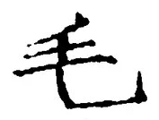 글자 毛