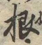根 위치 확인됨