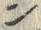 字ン