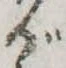 位置 確認된 が