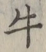 Chữ 牛