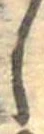 𛁅 위치 확인됨