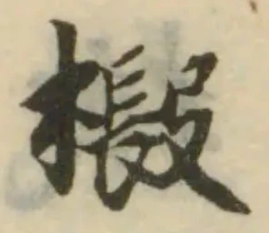 Đã định vị 椴