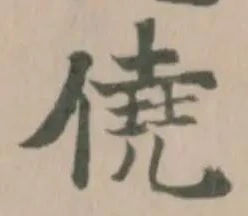 僥の位置
