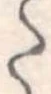 Đã định vị 𛁠