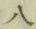글자 八