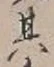 字其
