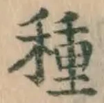 글자 種