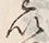 文字以