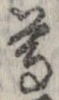 尊 위치 확인됨