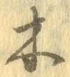 位置 確認된 木