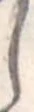 𛁅 위치 확인됨