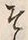 글자 そ