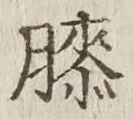 Chữ 膝