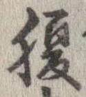 已定位腹