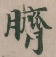 已定位臍