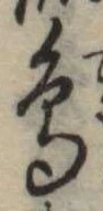 鳥 위치 확인됨