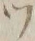 文字 ツ