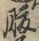 腹 위치 확인됨