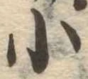 小 위치 확인됨