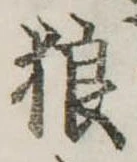 狼 위치 확인됨