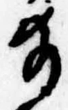 位置 確認된 給