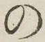 字の