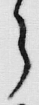 字う