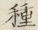 글자 種