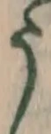 文字 う