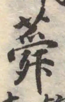 位置定マレル蕣
