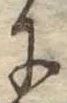 𛂌 위치 확인됨