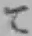文字て
