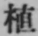 글자 植