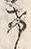 Character け