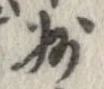 州の位置