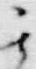 字其