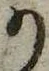 位置 確認된 𛀙