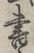已定位書