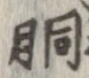 胴の位置
