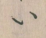 𛀆 위치 확인됨